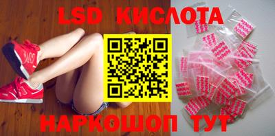 Альфа ПВП Бийск
