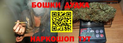 Альфа ПВП Бийск