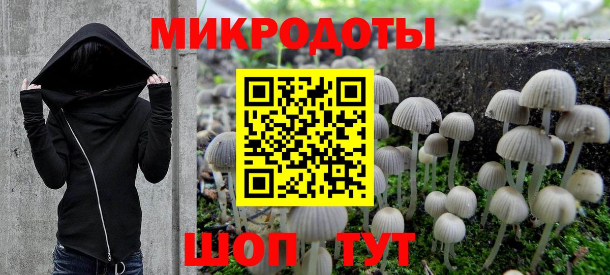 Галлюциногенные грибы прущие грибы Керчь